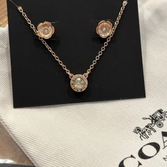 Coach Rose Gold Plated & Cubic Zirconia Necklace & Earring Set - Picture 3 of 7